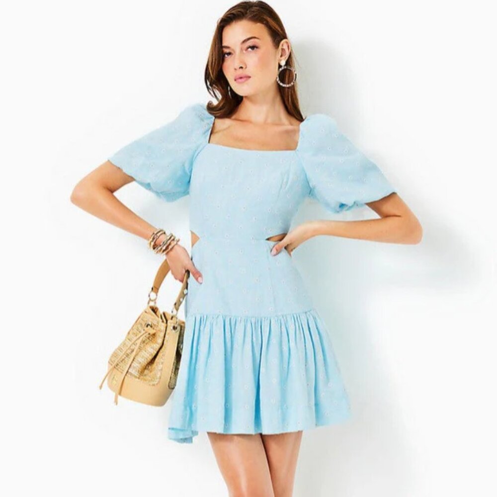 Lilly Pulitzer Kylanne NWT Blue Embroidered Flower Linen Fit n Flare Dress, Sz 0